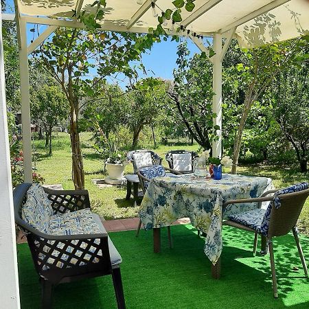 Bed and Breakfast Tom E Jerry Domus De Maria Exterior foto